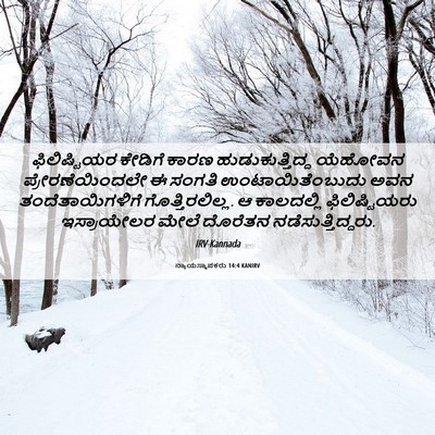 Picture 06 - ನ್ಯಾಯಸ್ಥಾಪಕರು 14:4 KANIRV - ಫಿಲಿಷ್ಟಿಯರ ಕೇಡಿಗೆ - Bible Verse Picture