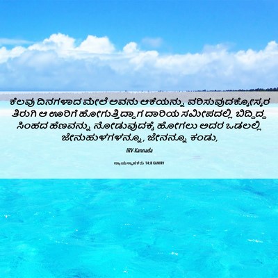 Picture 06 - ನ್ಯಾಯಸ್ಥಾಪಕರು 14:8 KANIRV - ಕೆಲವು ದಿನಗಳಾದ - Bible Verse Picture