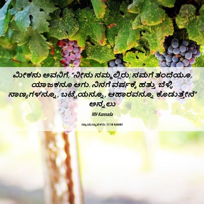 Picture 06 - ನ್ಯಾಯಸ್ಥಾಪಕರು 17:10 KANIRV - ಮೀಕನು ಅವನಿಗೆ, - Bible Verse Picture