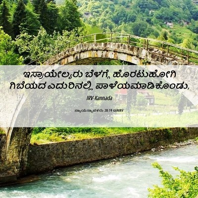 Picture 06 - ನ್ಯಾಯಸ್ಥಾಪಕರು 20:19 KANIRV - ಇಸ್ರಾಯೇಲ್ಯರು - Bible Verse Picture
