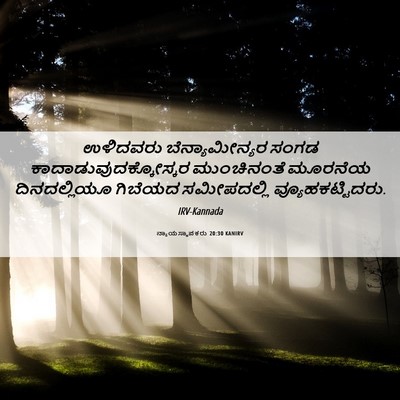 Picture 06 - ನ್ಯಾಯಸ್ಥಾಪಕರು 20:30 KANIRV - ಉಳಿದವರು - Bible Verse Picture