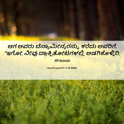 Picture 06 - ನ್ಯಾಯಸ್ಥಾಪಕರು 21:20 KANIRV - ಆಗ ಅವರು - Bible Verse Picture