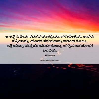 Picture 06 - ನ್ಯಾಯಸ್ಥಾಪಕರು 3:22 KANIRV - ಆ ಕತ್ತಿ ಹಿಡಿಯ ಸಮೇತ - Bible Verse Picture