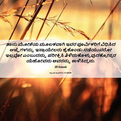 Picture 06 - ನ್ಯಾಯಸ್ಥಾಪಕರು 3:4 KANIRV - ತಾನು ಮೋಶೆಯ - Bible Verse Picture