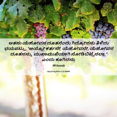 Picture 06 - ನ್ಯಾಯಸ್ಥಾಪಕರು 6:22 KANIRV - ಆತನು ಯೆಹೋವನ - Bible Verse Picture