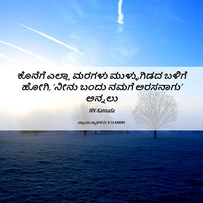 Picture 06 - ನ್ಯಾಯಸ್ಥಾಪಕರು 9:14 KANIRV - ಕೊನೆಗೆ ಎಲ್ಲಾ - Bible Verse Picture