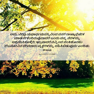 Picture 06 - ನ್ಯಾಯಸ್ಥಾಪಕರು 9:15 KANIRV - ಅದು, ‘ನೀವು - Bible Verse Picture