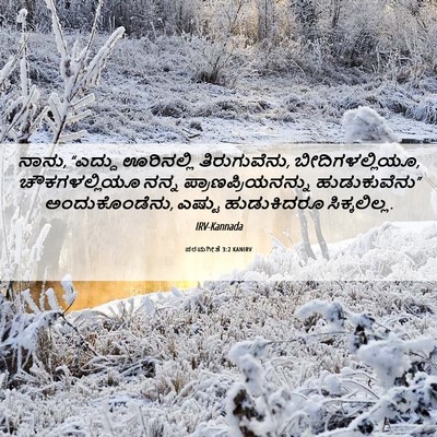Picture 06 - ಪರಮಗೀತೆ 3:2 KANIRV - ನಾನು, “ಎದ್ದು - Bible Verse Picture
