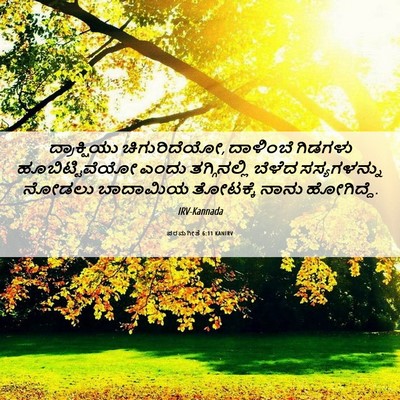 Picture 06 - ಪರಮಗೀತೆ 6:11 KANIRV - ದ್ರಾಕ್ಷಿಯು - Bible Verse Picture