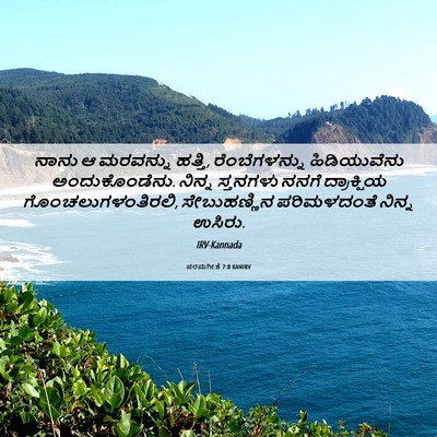 Picture 06 - ಪರಮಗೀತೆ 7:8 KANIRV - ನಾನು ಆ ಮರವನ್ನು - Bible Verse Picture