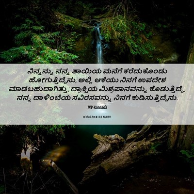 Picture 06 - ಪರಮಗೀತೆ 8:2 KANIRV - ನಿನ್ನನ್ನು ನನ್ನ - Bible Verse Picture