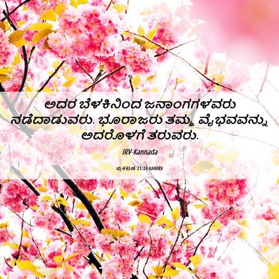 Picture 06 - ಪ್ರಕಟಣೆ 21:24 KANIRV - ಅದರ ಬೆಳಕಿನಿಂದ - Bible Verse Picture