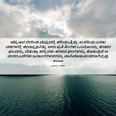 Picture 06 - ಪ್ರಕಟಣೆ 22:2 KANIRV - ಪಟ್ಟಣದ ಬೀದಿಯ - Bible Verse Picture