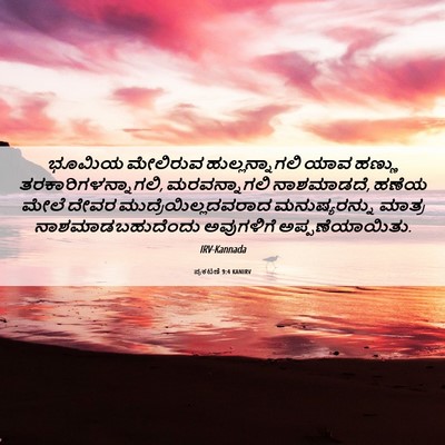 Picture 06 - ಪ್ರಕಟಣೆ 9:4 KANIRV - ಭೂಮಿಯ ಮೇಲಿರುವ - Bible Verse Picture