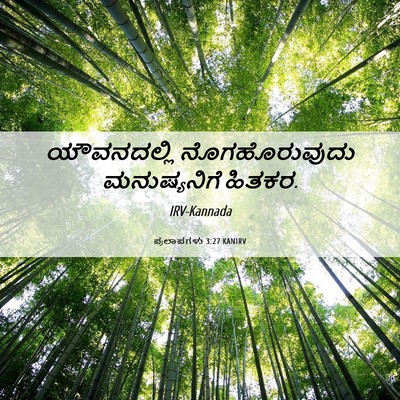 Picture 06 - ಪ್ರಲಾಪಗಳು 3:27 KANIRV - ಯೌವನದಲ್ಲಿ - Bible Verse Picture