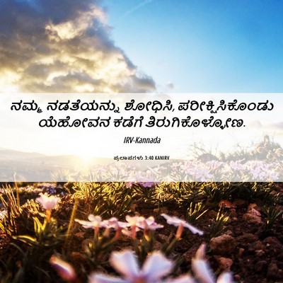 Picture 06 - ಪ್ರಲಾಪಗಳು 3:40 KANIRV - ನಮ್ಮ ನಡತೆಯನ್ನು - Bible Verse Picture