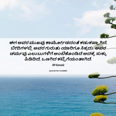 Picture 06 - ಪ್ರಲಾಪಗಳು 4:8 KANIRV - ಈಗ ಅವರ ಮುಖವು - Bible Verse Picture
