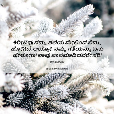Picture 06 - ಪ್ರಲಾಪಗಳು 5:16 KANIRV - ಕಿರೀಟವು ನಮ್ಮ ತಲೆಯ - Bible Verse Picture
