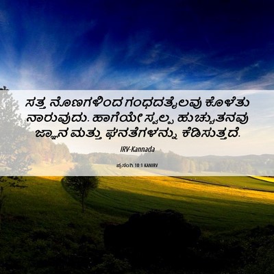 Picture 06 - ಪ್ರಸಂಗಿ 10:1 KANIRV - ಸತ್ತ ನೊಣಗಳಿಂದ - Bible Verse Picture