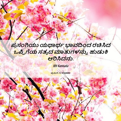 Picture 06 - ಪ್ರಸಂಗಿ 12:10 KANIRV - ಪ್ರಸಂಗಿಯು ಯಥಾರ್ಥ - Bible Verse Picture