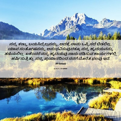 Picture 06 - ಪ್ರಸಂಗಿ 2:10 KANIRV - ನನ್ನ ಕಣ್ಣು - Bible Verse Picture