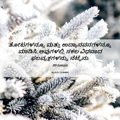 Picture 06 - ಪ್ರಸಂಗಿ 2:5 KANIRV - ತೋಟಗಳನ್ನೂ ಮತ್ತು - Bible Verse Picture