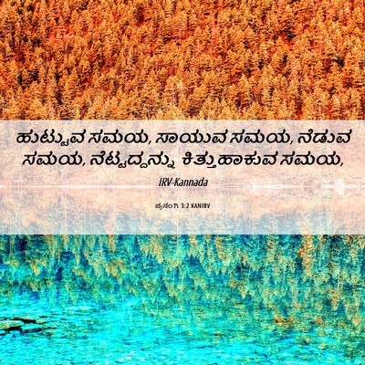 Picture 06 - ಪ್ರಸಂಗಿ 3:2 KANIRV - ಹುಟ್ಟುವ ಸಮಯ, ಸಾಯುವ - Bible Verse Picture