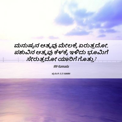 Picture 06 - ಪ್ರಸಂಗಿ 3:21 KANIRV - ಮನುಷ್ಯನ ಆತ್ಮವು - Bible Verse Picture