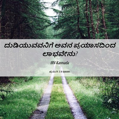Picture 06 - ಪ್ರಸಂಗಿ 3:9 KANIRV - ದುಡಿಯುವವನಿಗೆ ಅವನ - Bible Verse Picture