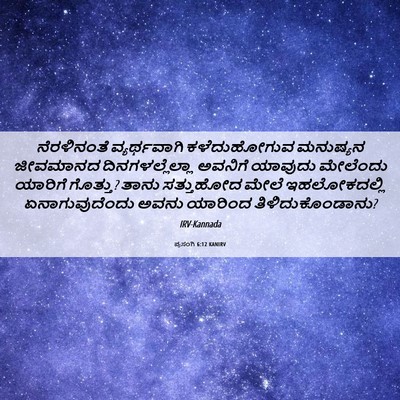 Picture 06 - ಪ್ರಸಂಗಿ 6:12 KANIRV - ನೆರಳಿನಂತೆ - Bible Verse Picture