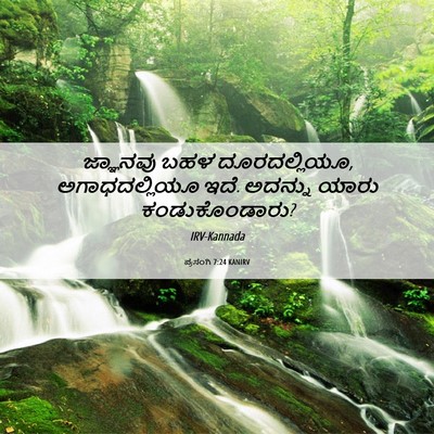 Picture 06 - ಪ್ರಸಂಗಿ 7:24 KANIRV - ಜ್ಞಾನವು ಬಹಳ - Bible Verse Picture