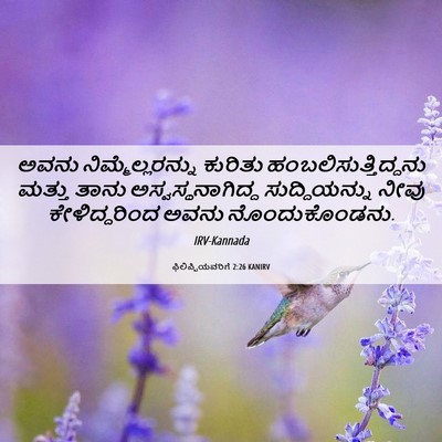 Picture 06 - ಫಿಲಿಪ್ಪಿಯವರಿಗೆ 2:26 KANIRV - ಅವನು - Bible Verse Picture