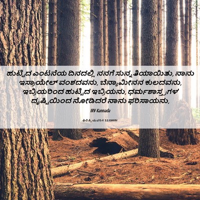Picture 06 - ಫಿಲಿಪ್ಪಿಯವರಿಗೆ 3:5 KANIRV - ಹುಟ್ಟಿದ ಎಂಟನೆಯ - Bible Verse Picture