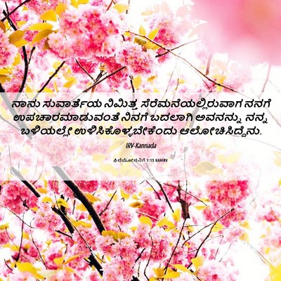 Picture 06 - ಫಿಲೆಮೋನನಿಗೆ 1:13 KANIRV - ನಾನು ಸುವಾರ್ತೆಯ - Bible Verse Picture