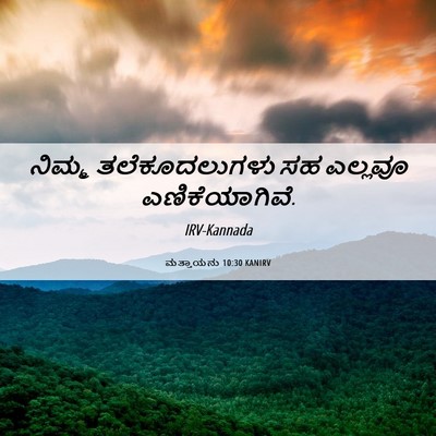 Picture 06 - ಮತ್ತಾಯನು 10:30 KANIRV - ನಿಮ್ಮ ತಲೆಕೂದಲುಗಳು - Bible Verse Picture