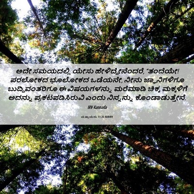 Picture 06 - ಮತ್ತಾಯನು 11:25 KANIRV - ಅದೇ ಸಮಯದಲ್ಲಿ ಯೇಸು - Bible Verse Picture