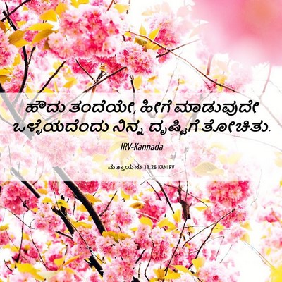 Picture 06 - ಮತ್ತಾಯನು 11:26 KANIRV - ಹೌದು ತಂದೆಯೇ, ಹೀಗೆ - Bible Verse Picture