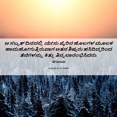 Picture 06 - ಮತ್ತಾಯನು 12:1 KANIRV - ಆ ಸಬ್ಬತ್ ದಿನದಲ್ಲಿ - Bible Verse Picture