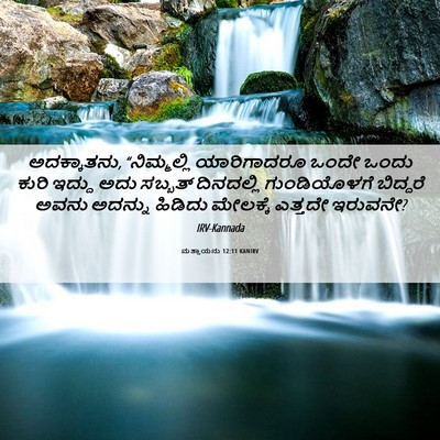 Picture 06 - ಮತ್ತಾಯನು 12:11 KANIRV - ಅದಕ್ಕಾತನು, - Bible Verse Picture