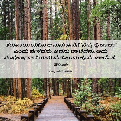 Picture 06 - ಮತ್ತಾಯನು 12:13 KANIRV - ತರುವಾಯ ಯೇಸು ಆ - Bible Verse Picture