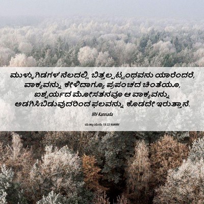 Picture 06 - ಮತ್ತಾಯನು 13:22 KANIRV - ಮುಳ್ಳುಗಿಡಗಳ - Bible Verse Picture