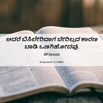 Picture 06 - ಮತ್ತಾಯನು 13:6 KANIRV - ಆದರೆ ಬಿಸಿಲೇರಿದಾಗ - Bible Verse Picture