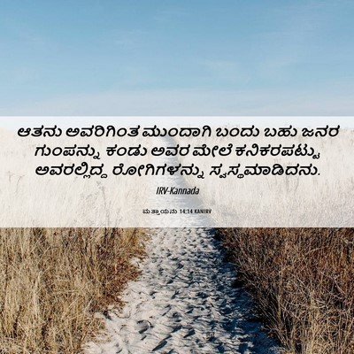 Picture 06 - ಮತ್ತಾಯನು 14:14 KANIRV - ಆತನು ಅವರಿಗಿಂತ - Bible Verse Picture
