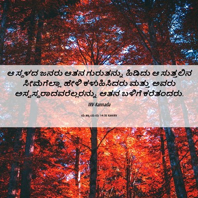 Picture 06 - ಮತ್ತಾಯನು 14:35 KANIRV - ಆ ಸ್ಥಳದ ಜನರು ಆತನ - Bible Verse Picture