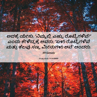 Picture 06 - ಮತ್ತಾಯನು 15:34 KANIRV - ಅದಕ್ಕೆ ಯೇಸು, - Bible Verse Picture
