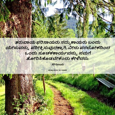 Picture 06 - ಮತ್ತಾಯನು 16:1 KANIRV - ತರುವಾಯ ಫರಿಸಾಯರು - Bible Verse Picture