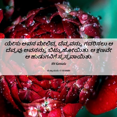 Picture 06 - ಮತ್ತಾಯನು 17:18 KANIRV - ಯೇಸು ಅವನ ಮೇಲಿದ್ದ - Bible Verse Picture