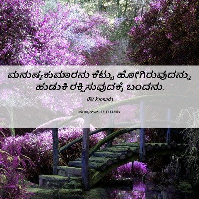 Picture 06 - ಮತ್ತಾಯನು 18:11 KANIRV - ಮನುಷ್ಯಕುಮಾರನು - Bible Verse Picture