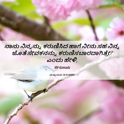 Picture 06 - ಮತ್ತಾಯನು 18:33 KANIRV - ನಾನು ನಿನ್ನನ್ನು - Bible Verse Picture