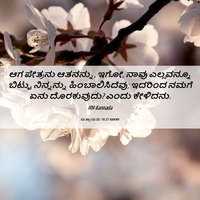 Picture 06 - ಮತ್ತಾಯನು 19:27 KANIRV - ಆಗ ಪೇತ್ರನು - Bible Verse Picture